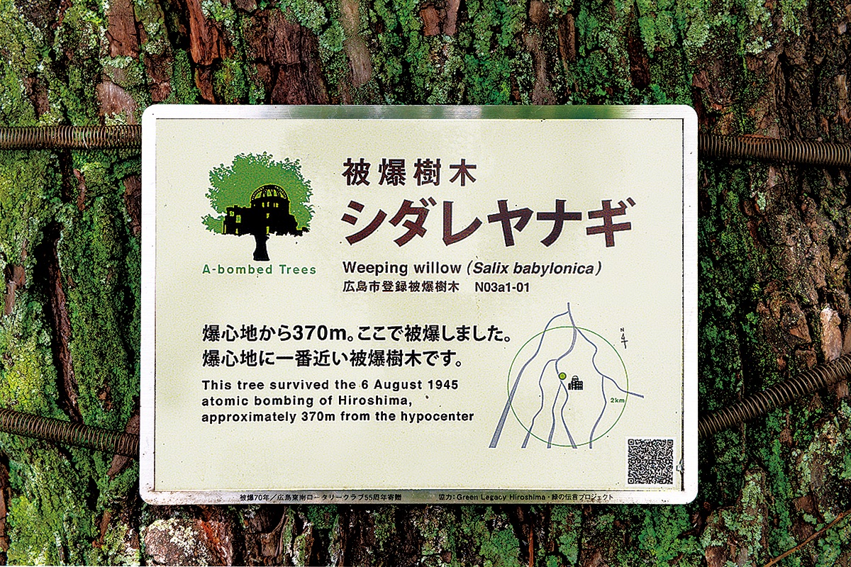 被曝樹木プレート